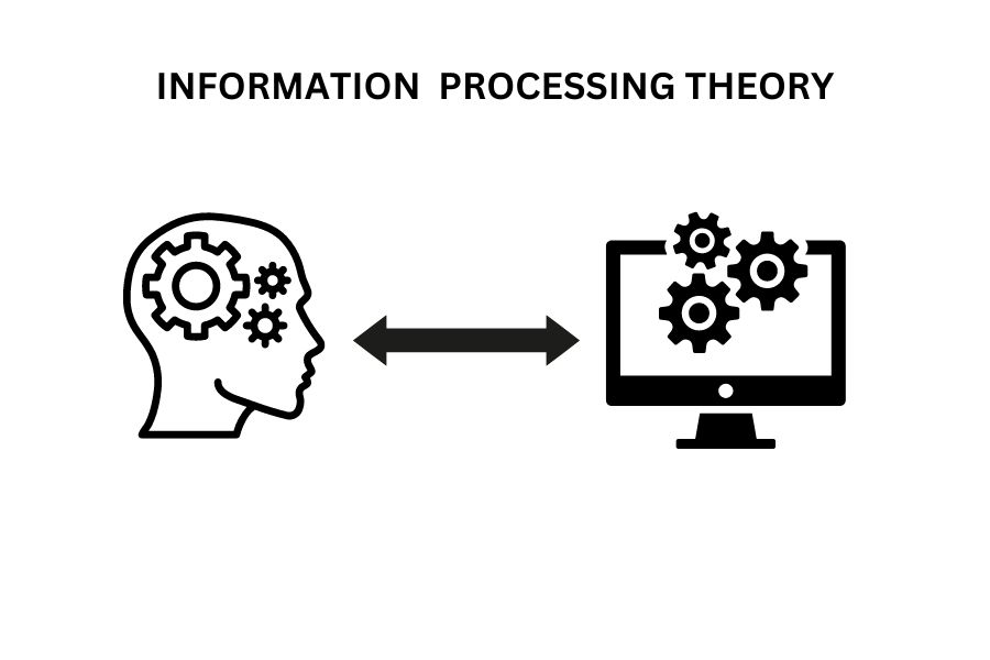 Information Processing Theory: Optimize Learning Skills for Success