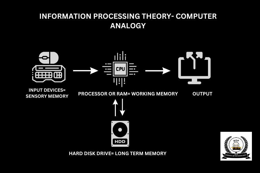 Information Processing Theory